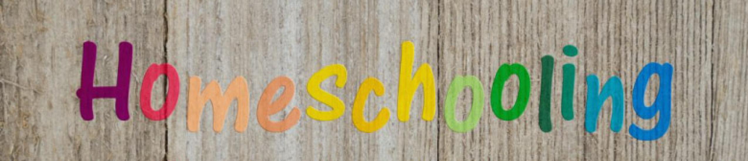 L’istruzione parentale - Home schooling