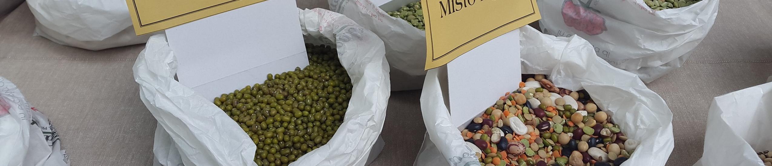 Istruzione e formazione professionale » Operatore della trasformazione agroalimentare Istruzione e formazione professionale » Operatore della trasformazione agroalimentare