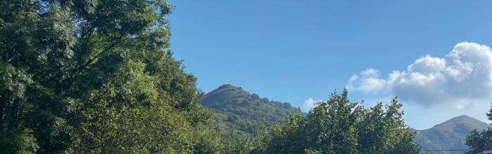  Lavagna, Biblioteca civica "G. Serbandini Bini", mercoledì 5 novembre  - ore 17.30 - Donatella Alfonso presenta: "Quando gli alberi parlano"