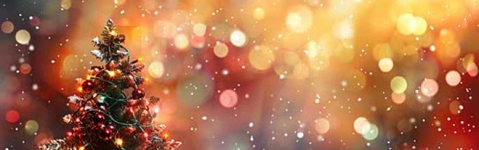 Arenzano,  Biblioteca civica "G. Mazzini" - Iniziative per bambini e adulti - dicembre 2025: "Letture con i nonni", "Letture favolose", "Inglese sotto l'albero", "Gruppo di lettura"