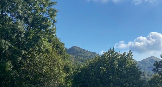  Lavagna, Biblioteca civica "G. Serbandini Bini", mercoledì 5 novembre  - ore 17.30 - Donatella Alfonso presenta: "Quando gli alberi parlano"