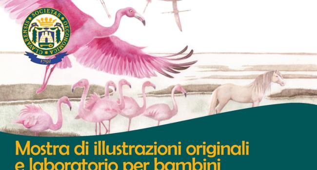 Chiavari, Biblioteca della Società Economica, Sala Garaventa e Sala Ghio Schiffini, 23, 24 e 25 ottobre - Tre appuntamenti per presentare il libro "Ànimali" e approfondire il mondo dell'albo illustrato 