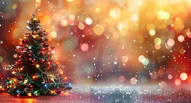 Arenzano,  Biblioteca civica "G. Mazzini" - Iniziative per bambini e adulti - dicembre 2025: "Letture con i nonni", "Letture favolose", "Inglese sotto l'albero", "Gruppo di lettura"