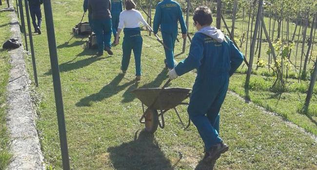 Giovani e agricoltura, il marsano cura il paesaggio della valbisagno (video di tabloid)