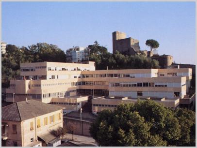 Immagine relativa a Liceo E. Luzzati